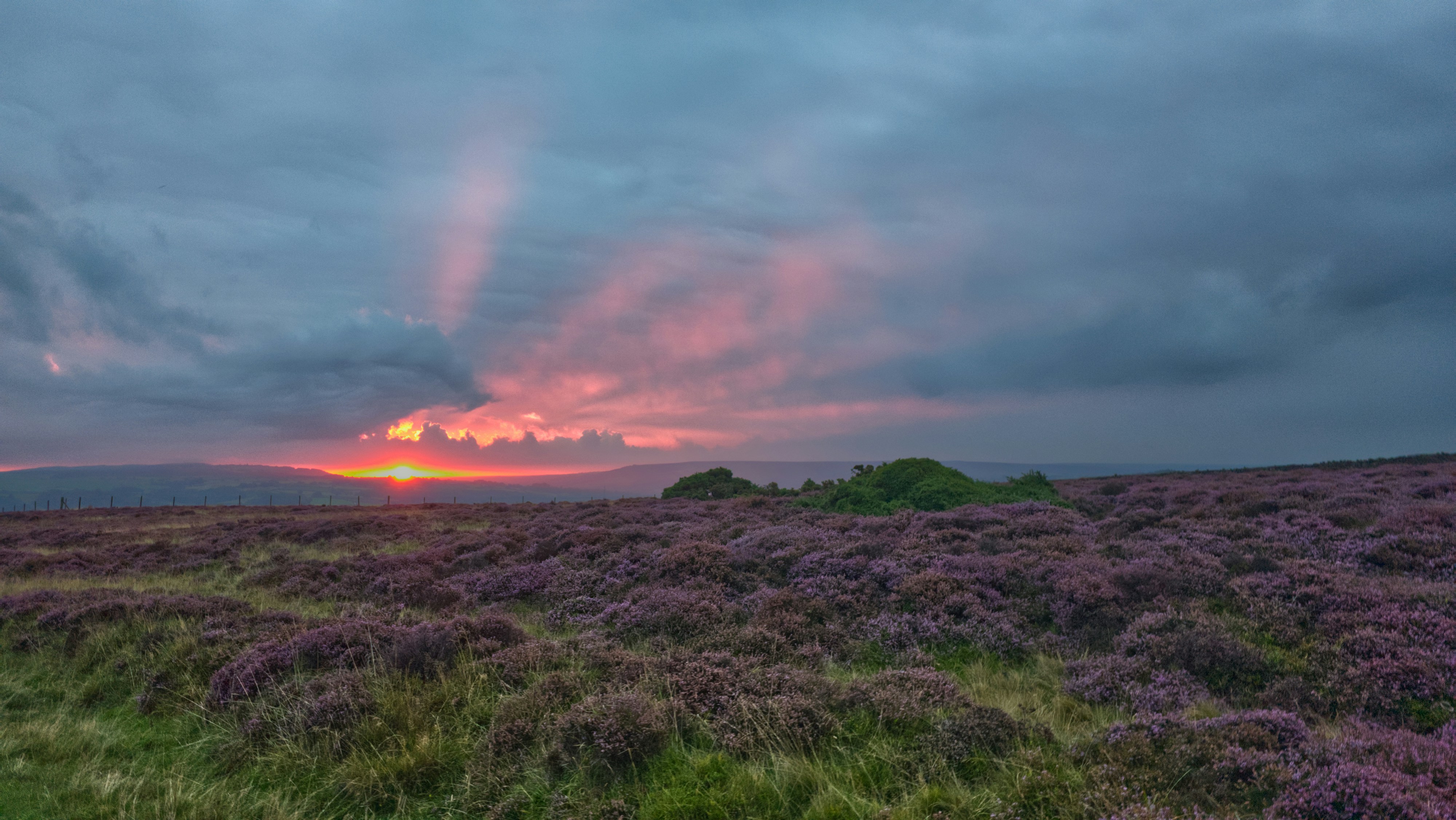 Sunset over purple heather on the North York Moors in Yorkshire with wide open moorland landscape